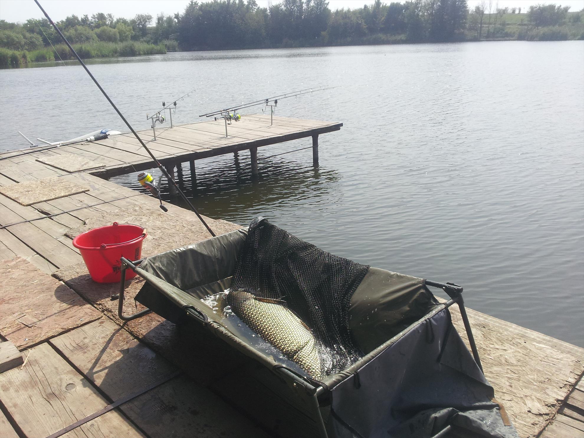 Tancabesti 31 august - 7 septembrie 2014 - 20140902131812.jpg